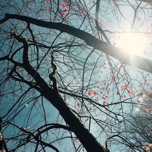 Meet your Posher, Ruth